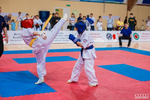 Спортивный клуб Нижегородская федерация синкекусинкай каратэ