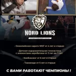 Занятия йогой, фитнесом в спортзале Nord Lions спортивный клуб Сургут