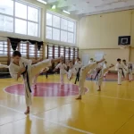 Занятия йогой, фитнесом в спортзале Новгородская областная Федерация киокусинкай Великий Новгород