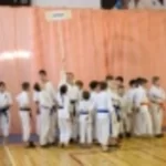 Занятия йогой, фитнесом в спортзале Новосибирская Областная Федерация Традиционного Каратэ-до Фудокан-шотокан Бердск