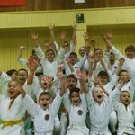 Спортивный клуб Одинцовская школа традиционного карате Мечта