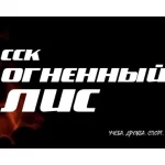 Занятия йогой, фитнесом в спортзале Огненные волки Видное