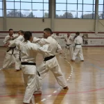 Занятия йогой, фитнесом в спортзале Окинавское Годзю-рю каратэ Тори Москва