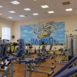 Занятия йогой, фитнесом в спортзале Олимп Челябинск