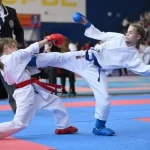 Занятия йогой, фитнесом в спортзале Олимпийское каратэ Wkf Санкт-Петербург