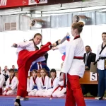 Занятия йогой, фитнесом в спортзале Олимпийское тхэквондо Верхняя Пышма