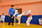Спортивный клуб Пэкхо Белый Тигр, спортивная школа тхэквондо