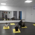 Занятия йогой, фитнесом в спортзале Performance Art Center Новосибирск