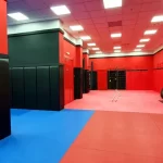 Занятия йогой, фитнесом в спортзале Поддубный Красноярск