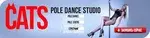 Спортивный клуб Pole Dance студия Cats