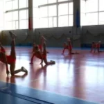 Занятия йогой, фитнесом в спортзале Приморская Федерация Спортивной Аэробики Владивосток