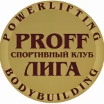 Занятия йогой, фитнесом в спортзале Proff Лига Новосибирск