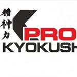 Спортивный клуб Profi kyokushin