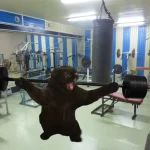 Занятия йогой, фитнесом в спортзале Пушистый кот Сыктывкар