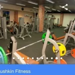 Занятия йогой, фитнесом в спортзале Pushkin Fitness Пушкино