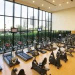 Занятия йогой, фитнесом в спортзале Ramada X Park Екатеринбург