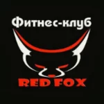 Занятия йогой, фитнесом в спортзале Red Fox Саранск