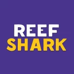 Занятия йогой, фитнесом в спортзале ReefShark Москва