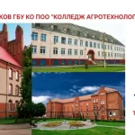 Занятия йогой, фитнесом в спортзале РФ Министерство образования Калининградской области, ГБУ Калининградской области профессиональная образовательная организация, колледж агротехнологий и природообустройства, Спортивный зал Гусев