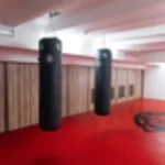 Занятия йогой, фитнесом в спортзале Ronin Dojo Тверь
