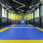 Занятия йогой, фитнесом в спортзале Roshchin Judo Club Москва