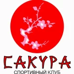 Занятия йогой, фитнесом в спортзале Сакура Омск