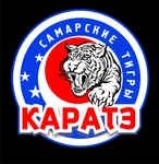 Спортивный клуб Самарские Тигры