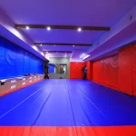Занятия йогой, фитнесом в спортзале Самбо Москва