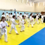Занятия йогой, фитнесом в спортзале Секция Айкидо Краснодар