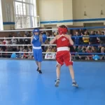 Занятия йогой, фитнесом в спортзале Секция бокса Красный Сулин