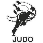 Спортивный клуб Секция борьбы дзюдо и кудо