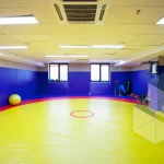 Занятия йогой, фитнесом в спортзале Секция борьбы самбо Партизанск