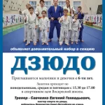 Занятия йогой, фитнесом в спортзале Секция дзюдо Липецк
