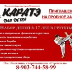 Занятия йогой, фитнесом в спортзале Секция каратэ Чемпион Раменское