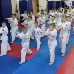 Занятия йогой, фитнесом в спортзале Секция Каратэ Киокусинкай Химки