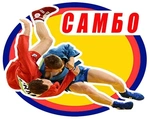Спортивный клуб Секция самбо