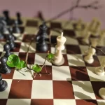 Занятия йогой, фитнесом в спортзале Шахматное королевство chessarea.ru Москва