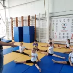 Занятия йогой, фитнесом в спортзале Шахматный клуб, Детско-юношеский оздоровительно-образовательный спортивный центр Бригантина, Муниципальное бюджетное учреждение дополнительного образования Псков