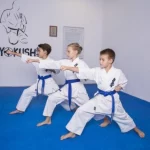 Занятия йогой, фитнесом в спортзале Шинкиокушин Каратэ Воронеж