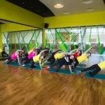 Занятия йогой, фитнесом в спортзале ШХГ Лайм Видное