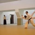 Занятия йогой, фитнесом в спортзале Школа айкидо Дасэйкан Москва