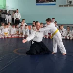 Занятия йогой, фитнесом в спортзале Школа Байдера — Айкидо и Кобудо Москва