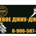 Занятия йогой, фитнесом в спортзале Школа боевого джиу-джитсу Воронеж
