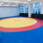 Занятия йогой, фитнесом в спортзале Школа боевых искусств МГПУ Москва