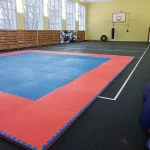 Занятия йогой, фитнесом в спортзале Школа боевых искусств МГПУ Москва