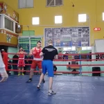Занятия йогой, фитнесом в спортзале Школа бокса имени Г.Н. Герасимова Шумерля