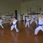Занятия йогой, фитнесом в спортзале Школа Единоборств Красный Тигр Ворсма