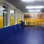 Занятия йогой, фитнесом в спортзале Школа единоборств Сокол Саранск