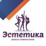 Спортивный клуб Школа гимнастики и акробатики Эстетика