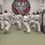 Занятия йогой, фитнесом в спортзале Школа Годзю рю Каратэ Богдана Курилко Москва